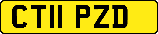 CT11PZD
