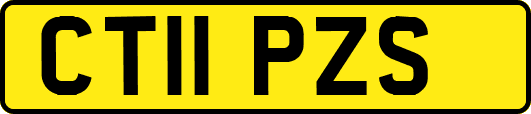CT11PZS