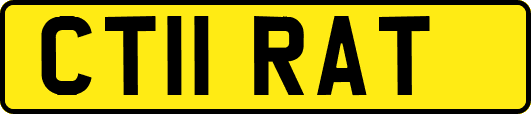CT11RAT
