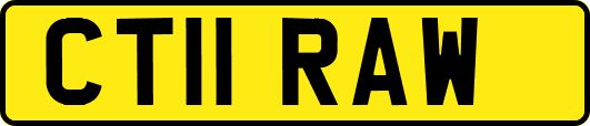 CT11RAW