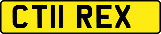 CT11REX