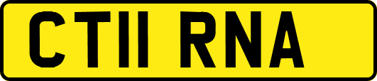 CT11RNA