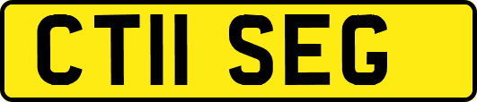 CT11SEG