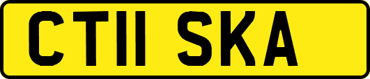 CT11SKA