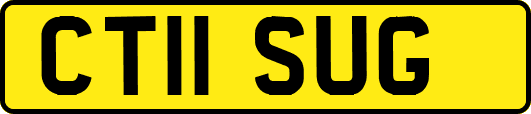 CT11SUG
