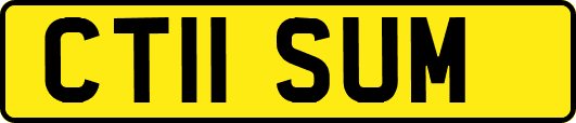 CT11SUM