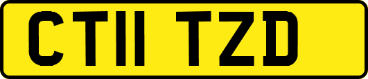 CT11TZD