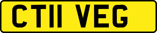CT11VEG