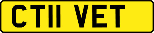 CT11VET