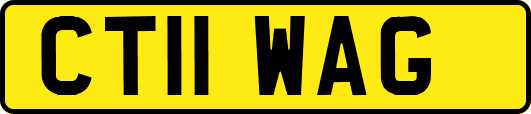 CT11WAG