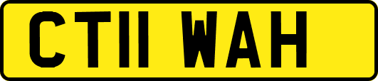 CT11WAH