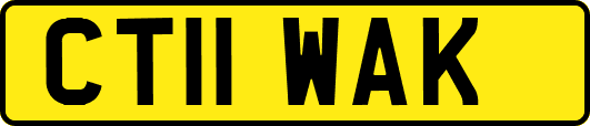 CT11WAK