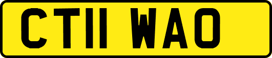 CT11WAO
