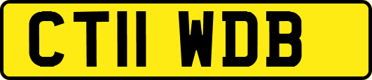 CT11WDB