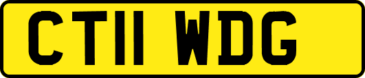 CT11WDG
