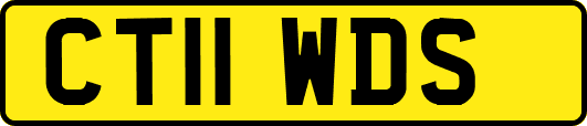 CT11WDS