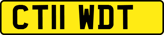 CT11WDT