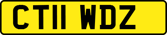 CT11WDZ