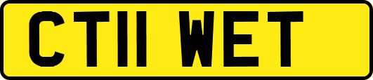 CT11WET