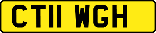 CT11WGH