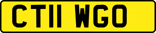 CT11WGO