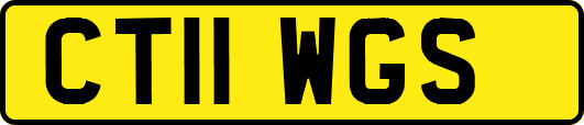 CT11WGS
