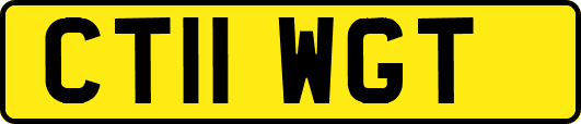 CT11WGT