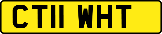CT11WHT