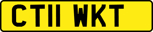 CT11WKT