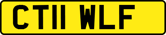 CT11WLF