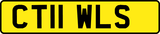CT11WLS