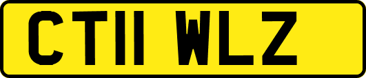 CT11WLZ