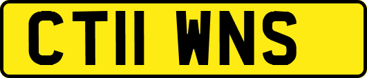 CT11WNS