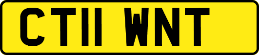 CT11WNT