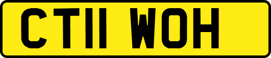 CT11WOH