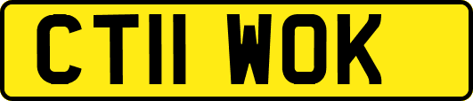 CT11WOK