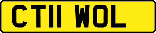 CT11WOL