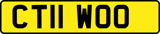 CT11WOO