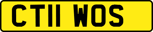 CT11WOS