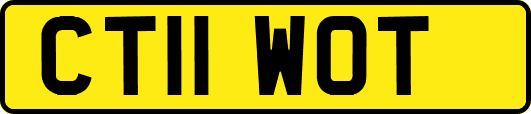 CT11WOT