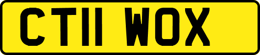 CT11WOX