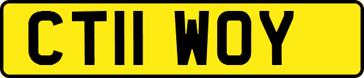 CT11WOY