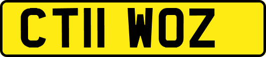 CT11WOZ