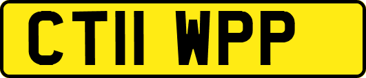 CT11WPP
