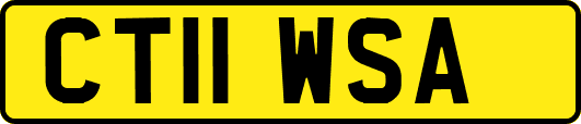 CT11WSA