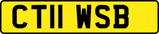 CT11WSB