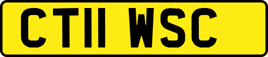 CT11WSC