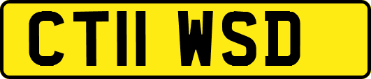 CT11WSD
