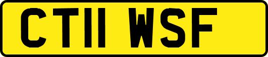 CT11WSF