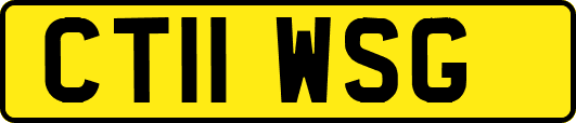 CT11WSG